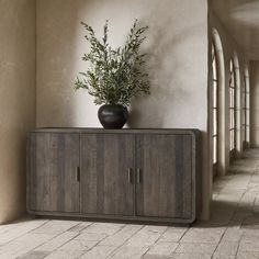 a potted plant sitting on top of a wooden cabinet in an empty room with arched doorways