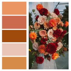 a bouquet of flowers is shown in the color orange and pink, along with an assortment of other colors