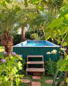 a small swimming pool surrounded by trees and plants