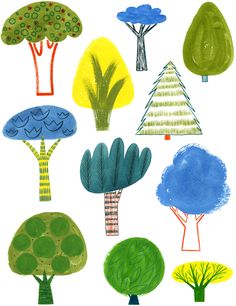 a drawing of trees with different colors and shapes