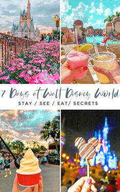 the disneyland world is full of colorful flowers and desserts, with text overlaying it