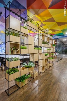 an office with colorful walls and plants growing on the shelves in front of each other