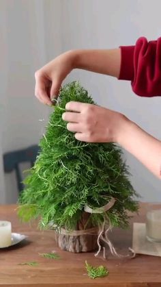 someone is decorating a potted plant on a table