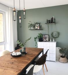 a dining room table with chairs and plants on it