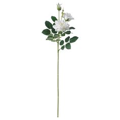 SMYCKA fleur artificielle, intérieur/extérieur/rose blanc, 65 cm. Plante artificielle identique à une vraie et qui reste belle des années durant. Fleur facile à plier et à placer grâce au fil d'acier insérer dans la tige. La tige peut être raccourcie au moyen de pinces. Convient aussi bien dans un salon que dans une salle de bains, sur un balcon ou dans votre espace travail à domicile. Flower Indoor, Global Decor, Artificial Bouquet, Belek, Indoor Flowers, Flower Spray, Painted Leaves, Fresh Flower, Coastal Cottage