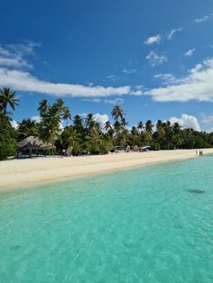 people are walking on the beach in front of palm trees and clear blue ocean water