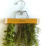 herbs are hanging on a hook with the word herbs