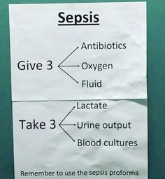 a paper sign with instructions on how to use gepiss for blood and urine