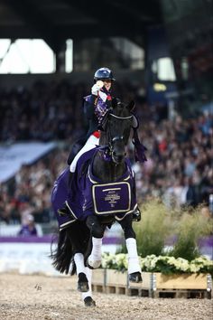 a woman riding on the back of a black horse in front of a large crowd