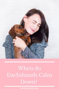 a woman hugging her dog with the words when do dachshunds calm down?