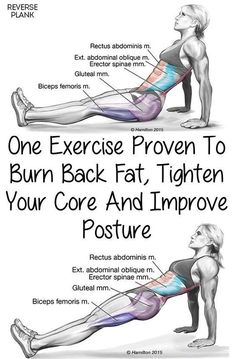 Burn Back Fat, Trening Fitness, Yoga Iyengar, Yoga Exercises, Trening Abs, An Exercise, Vinyasa Yoga