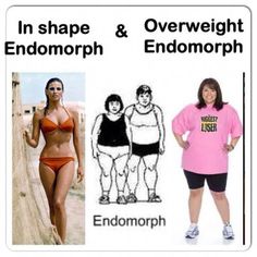 The three main female body types and how to target your workout to maximize benefits and results without unrealistic expectations. Endomorph Women, Mesomorph Women, Endomorph Diet Plan, Body Type Diet, Endomorph Body Type, Endomorph Diet, Body Types Women, Metabolic Diet, Unrealistic Expectations