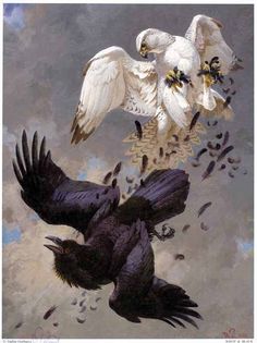 raven Raven Fantasy Art, Vadim Gorbatov, Avian Anatomy, Eagle Aesthetic, Ink Reference, Hawk Bird, Black Birds, Animal Spirit