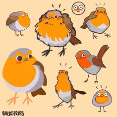 an image of birds with different facial expressions