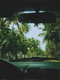 the inside view of a car driving down a road with palm trees in the background