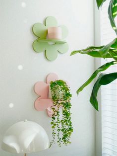 some plants are hanging on the wall next to a lamp