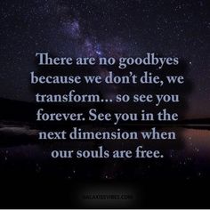 there are no goodbyes because we don't die, we transform so see you forever