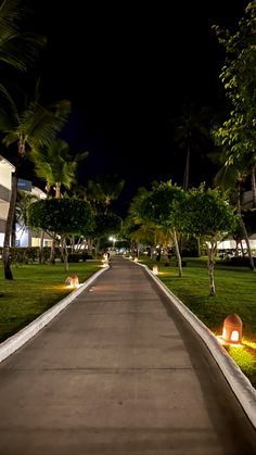 an empty street lined with palm trees and lawn lights in the night time, leading to a hotel