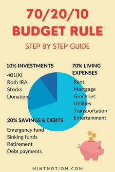 a piggy bank info sheet with the words budget rules and an image of a piggy