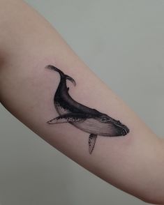 Blackwork fineline realism tattoo by Alexandyr Valentine of humpback whale on arm tattoo Half Sleeve Tattoo Stencils, Sheep Tattoo, Bookish Tattoos, Power Tattoo, Tattoo Shading, Hidden Tattoos, Bts Tattoos