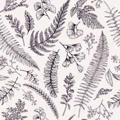 black and white floral pattern with fern leaves stock photo - image 3498716