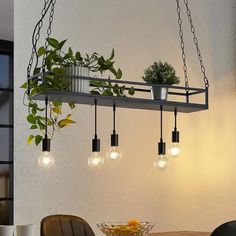 a potted plant is hanging from a shelf above a table with chairs and plates on it