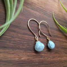 Larimar and 14k Gold Fill Dangles. Handmade 14k gold filled ear hooks, tumbled and polished to a high shine. 14k gold fill wrapped Natural, Faceted Larimar gemstones. Light Aqua blue with with and baby blue inclusions. Measurements: 1 1/4" long and 1/4" wide. Made in and shipped from Tupper Lake, New York Light Aqua, Ear Hook, Aqua Blue, Gemstone Earrings, Baby Blue, Jewelry Earrings Dangle, Gold Filled, Dangle Drop Earrings, Dangle Earrings