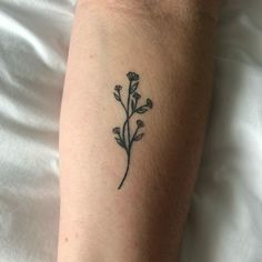 Lakespur Flower Tattoo, Larkspur Tattoo Simple, Larkspur And Water Lily Tattoo, Lily Flower Tattoos