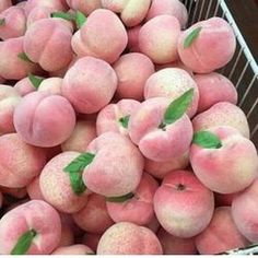 a basket filled with lots of peaches covered in green leaves