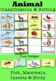 animals and birds are shown in this printable game