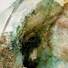 an elephant's eye is shown in this watercolor painting