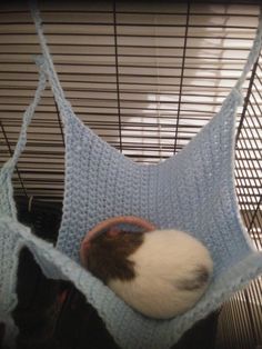 a hamster is sitting in a blue crocheted net with his head inside the hamster