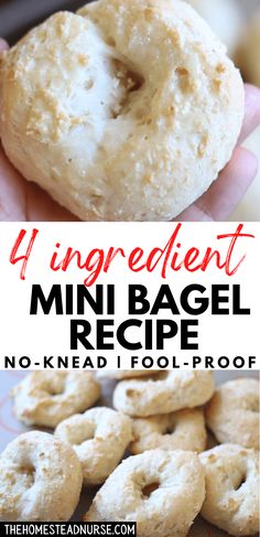 mini bagels Homemade Mini Bagels, Easy Bagels Recipe Homemade No Yogurt, Mini Bagel Recipes, Easy Bagels Recipe Homemade, Homemade Groceries, Mini Bagels Recipe, Easy Bagel Recipe, Bagel Bites Recipe, Quick Supper