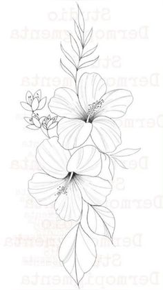 Hibiscus Flower Tattoo Stencil, Hibiscus Tattoo Stencil, Lilly Flower Tattoo, Cute Foot Tattoos