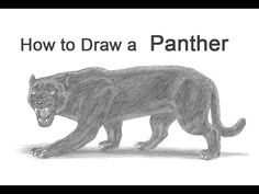 a drawing of a black panther with the words how to draw a panther