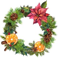 christmas wreath with oranges, pine cones and poinsettis on white background