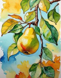 a painting of a pear hanging from a tree branch with leaves and watercolors