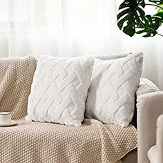 a living room with a couch, coffee cup and potted plant