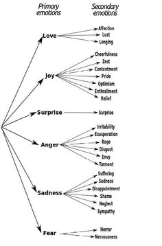 a diagram showing the different types of emotions and feelings in each individual's body