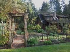 a garden area with a house in the background and trees around it, surrounded by greenery