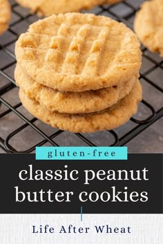 stack of peanut butter cookies Gluten Free Peanut Butter Cookies Recipe, Christmas Gluten Free, Gluten Free Cookies Easy, Pb Cookies, Gluten Free Peanut Butter Cookies, Flourless Peanut Butter Cookies, Classic Peanut Butter Cookies, Gluten Free Sugar Cookies, Gf Cookies