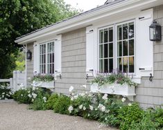 white flowers line the side of a house with windows and shutters on both sides