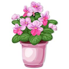 a pink potted plant with green leaves and pink flowers on it's side