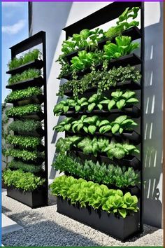 an outdoor vertical garden with plants growing on the sides and in black plastic containers next to each other