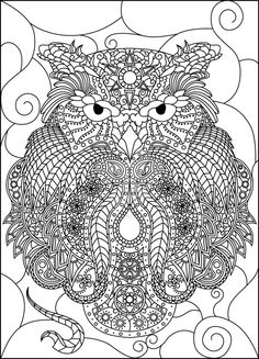 an adult coloring book page featuring an owl with intricate patterns on it's face