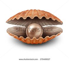 an open shell with a pearl in it on a white background, clipping out