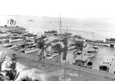 an old black and white photo of boats docked at a harbor with palm trees in the foreground