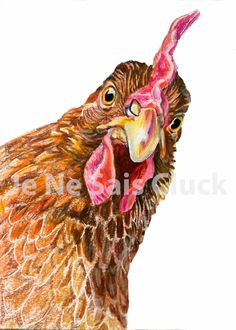 a drawing of a chicken with its mouth open