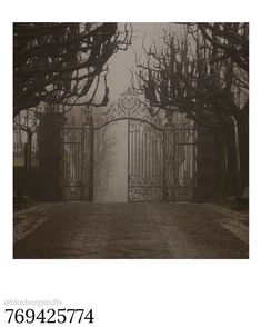 an image of a gate that is in the middle of a road with trees on both sides