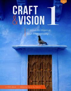 a bird sitting on top of a window sill in front of a blue building